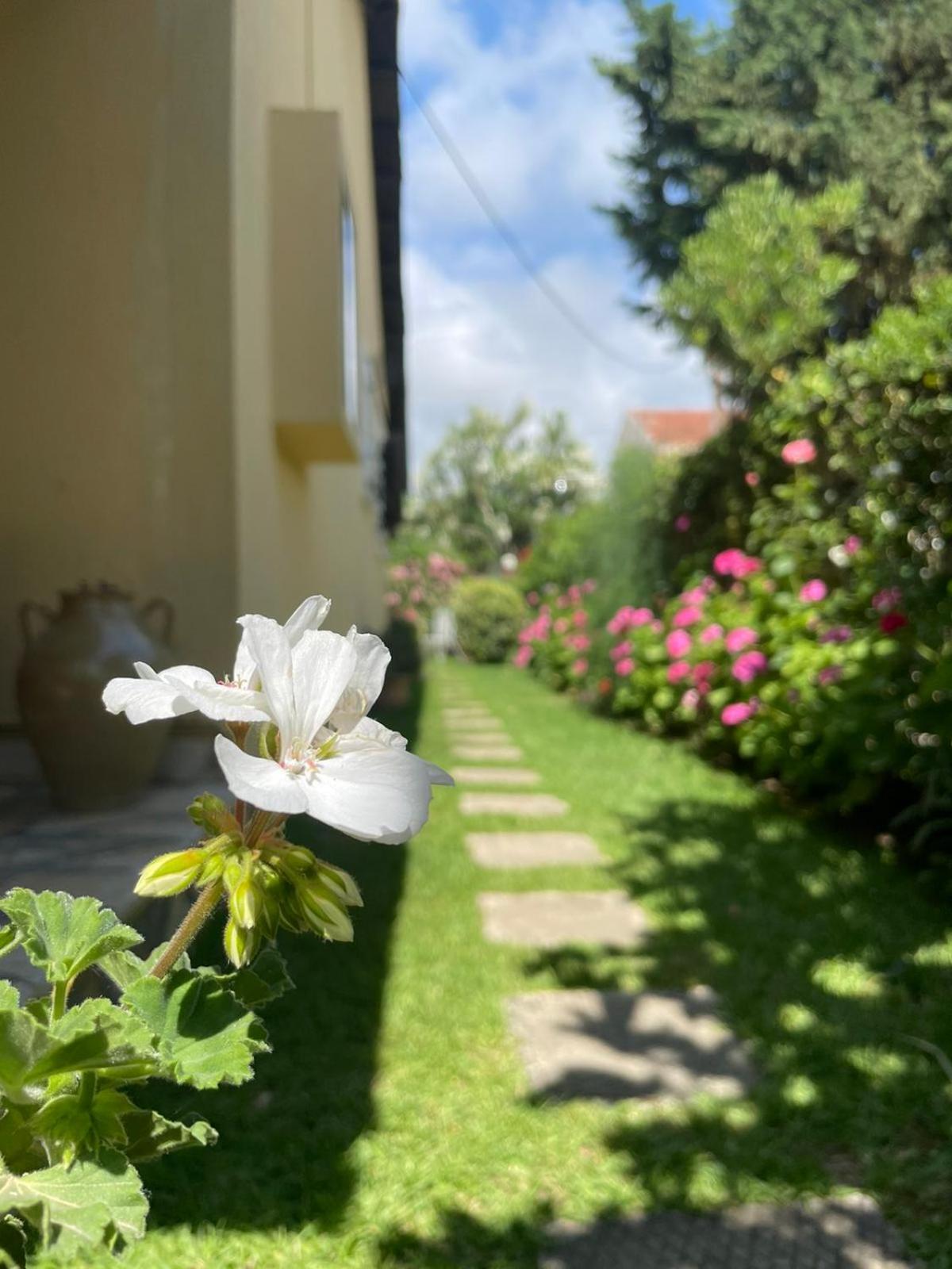 Villa Tina Country Beach Apartments Akharávi Rom bilde